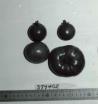 Click for 1 image(s) for this accession. FRUIT